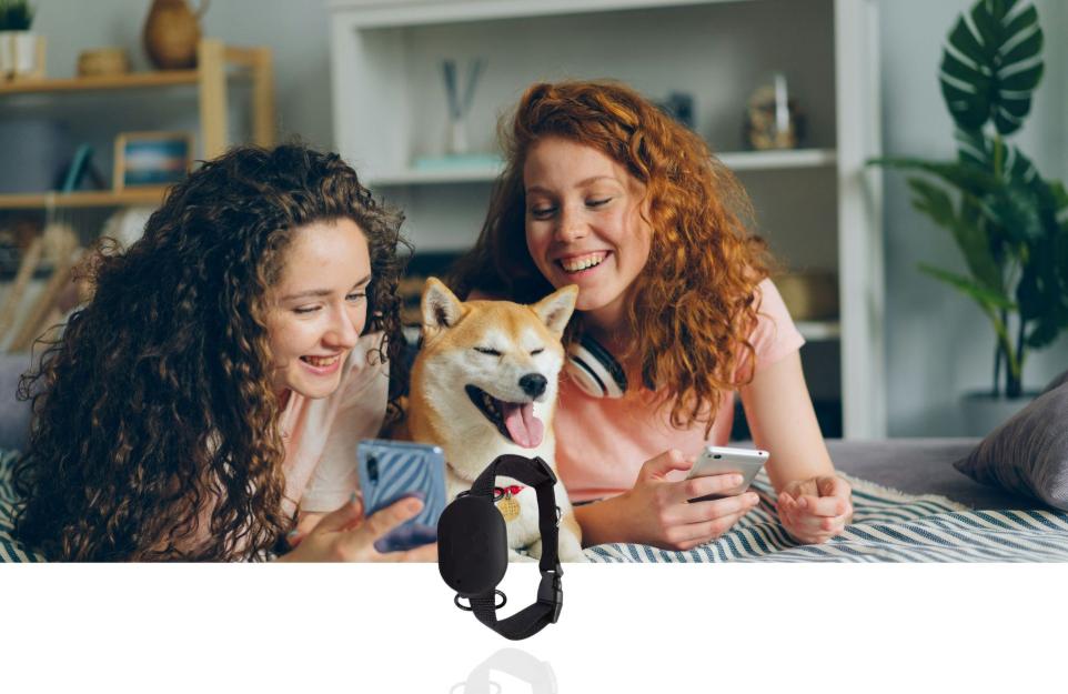 Best GPS tracker for pets in Nepal